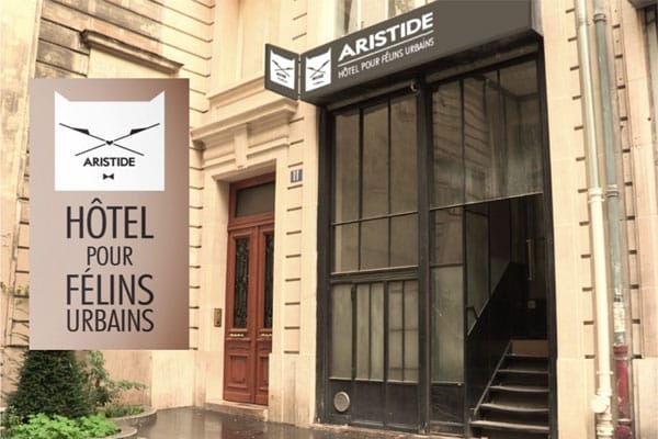Hotel pour chat à Paris : Aristide