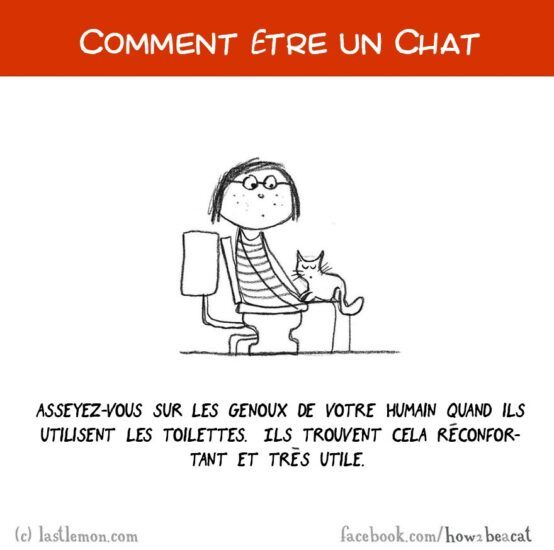 Comment être un chat