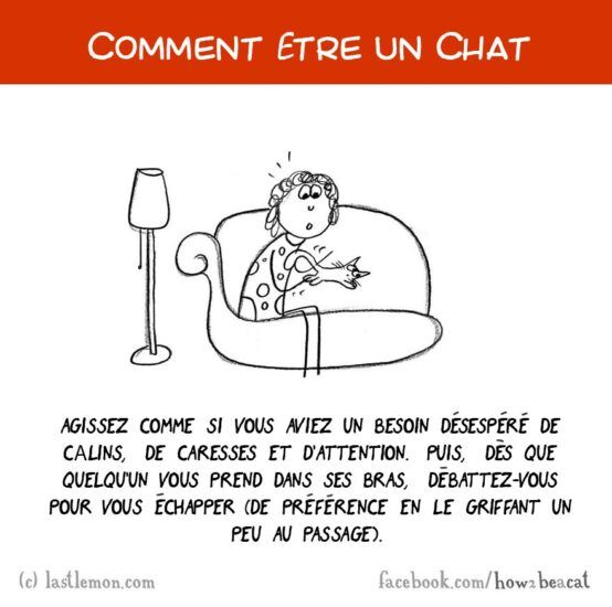 Comment être un chat