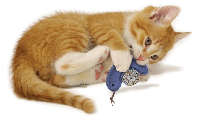 Kong Kickeroo - Jouet en peluche Denim pour chat