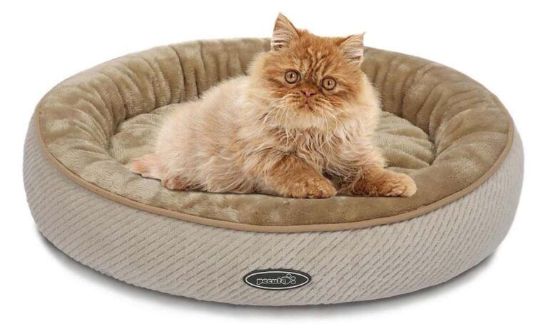 panier pour chat souple