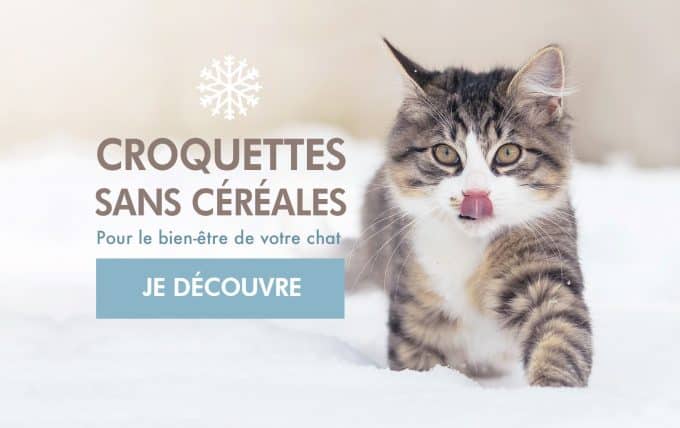 Croquette chat sans céréale: mon avis sur les croquettes chat Ultra Premium Direct