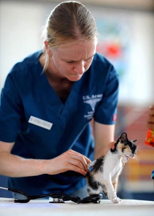 devenir soigneur animalier