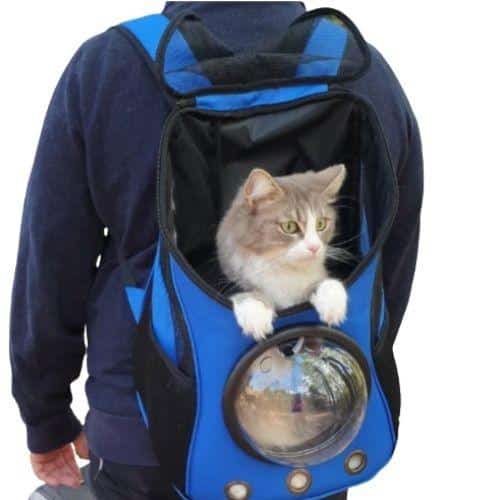 sac à dos chat