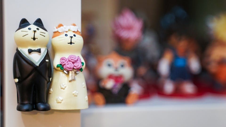 Objets déco indispensables pour les amoureux des chats 1